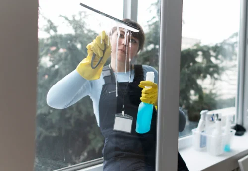 Nettoyage de vitres intérieures et extérieures à Luzay